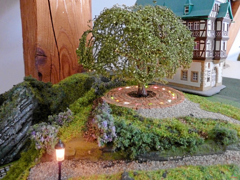 176 Schwarzeiche.JPG - Die alte Schwarzeiche auf dem Platz mit gemustertem Pflaster wird von unten farbig angestrahlt.